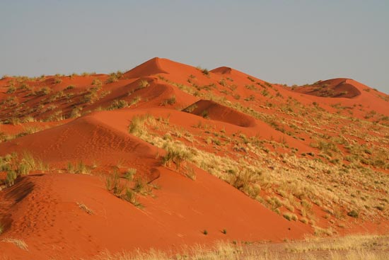 Red star-shaped dunes found at Sossusvlei