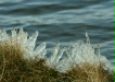 Fingers of Ice