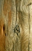 Old timber