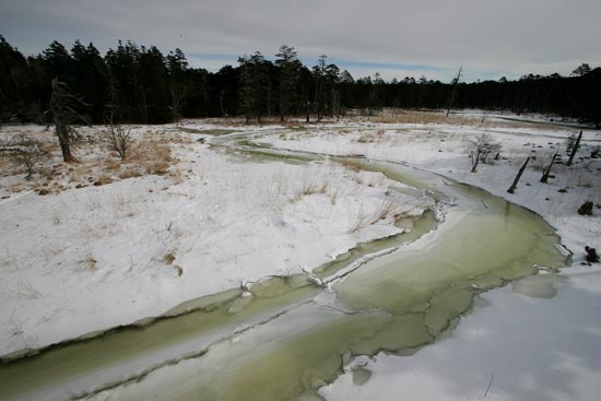 Winter wonderland, Hokkaido
