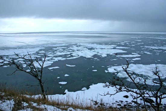 Sea-ice, Cape Nossapu, eastern Hokkaido