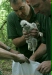 Ringing Buzzard chicks
