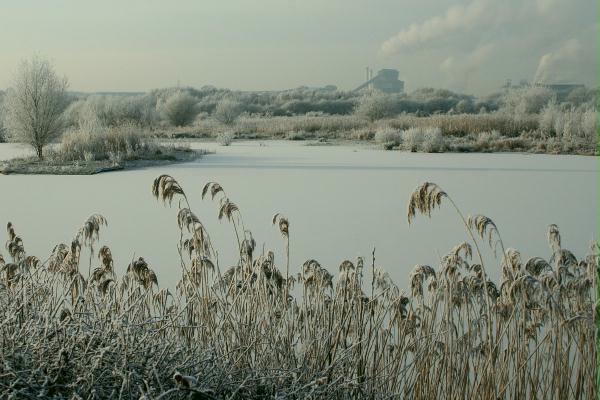 Haydn Pool, Northwich Community Woodlands, Marbury