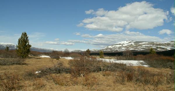 Fokstumyra Nature Reserve