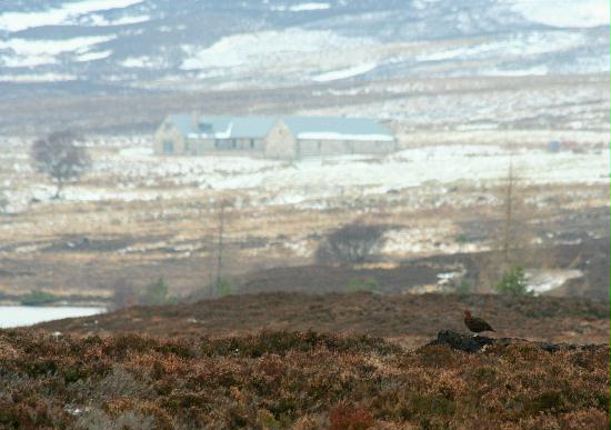 Lochindorb, Highlands