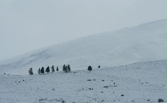 Tulloch Moor, Highlands