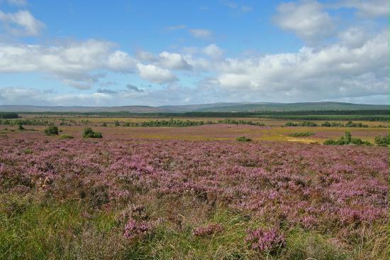 Tulloch Moor, Highlands
