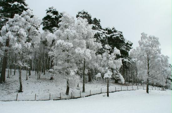 Grantown-on-Spey, Highlands