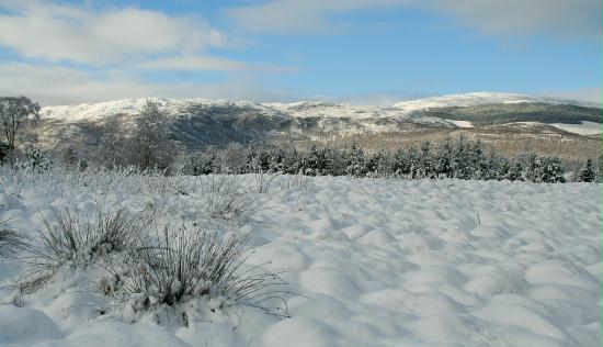 Nethybridge, Highlands