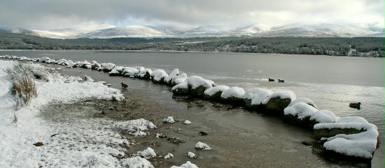 Loch Morlich, Highlands