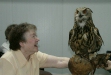 Trip to Birds of Prey Centre, Knutsford, 30th June 2010