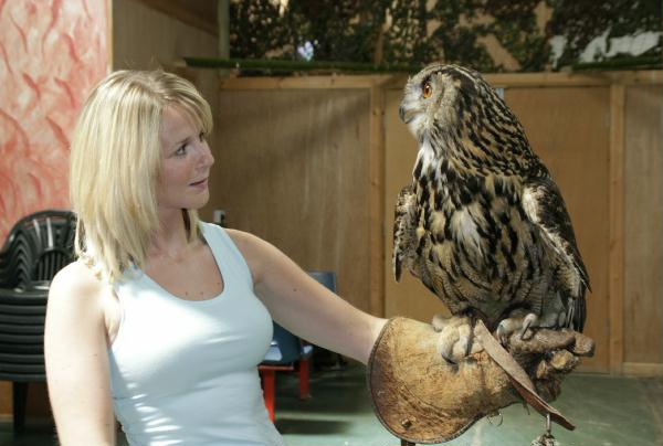 Trip to Birds of Prey Centre, Knutsford, 30th June 2010
