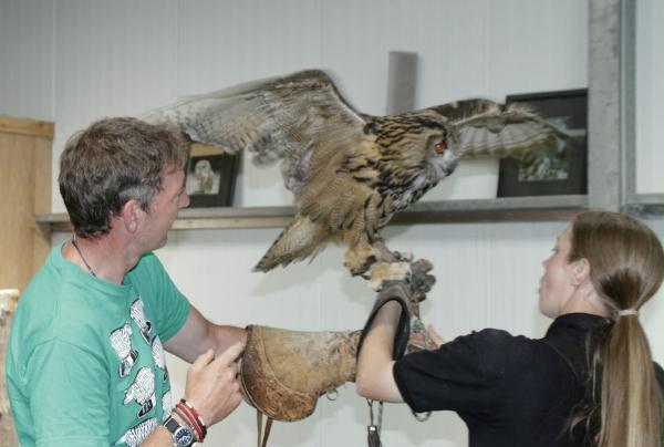Trip to Birds of Prey Centre, Knutsford, 30th June 2010