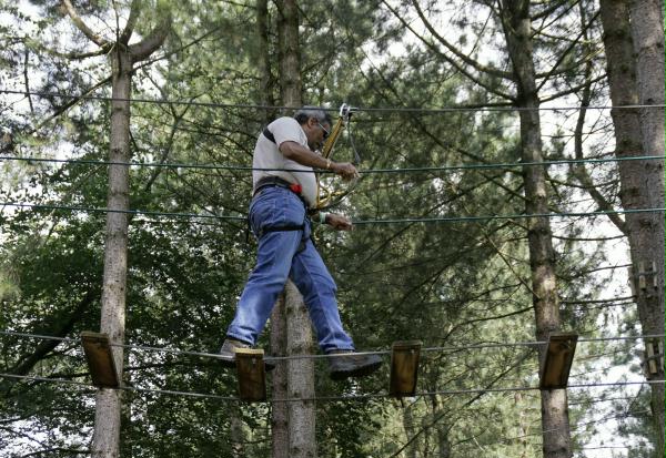 Going Ape, Delamere Forest, 5th Sep 2010