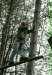 Going Ape, Delamere Forest, 5th Sep 2010