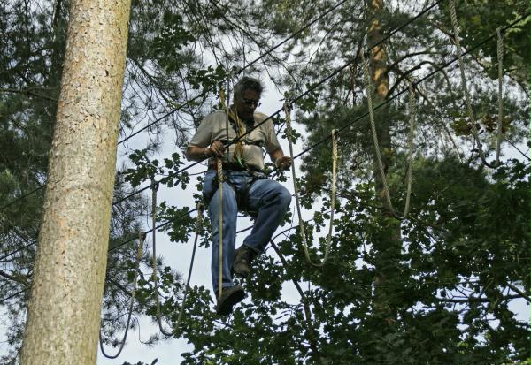 Going Ape, Delamere Forest, 5th Sep 2010